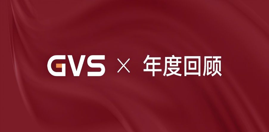 GVS 2024年終總結(jié)，請(qǐng)您查收